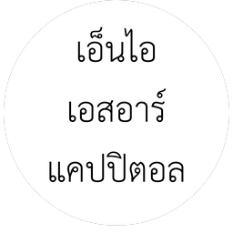 เอ็นไอ เอสอาร์ แคปปิตอล์
